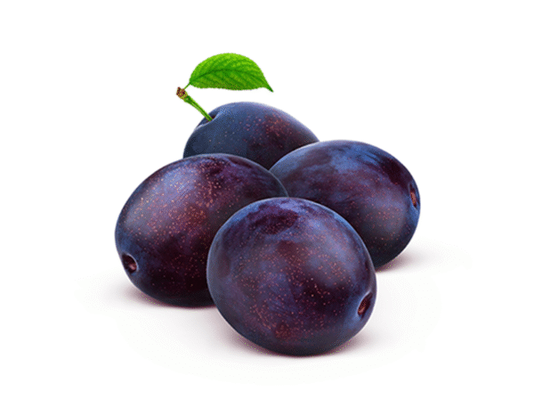 plum