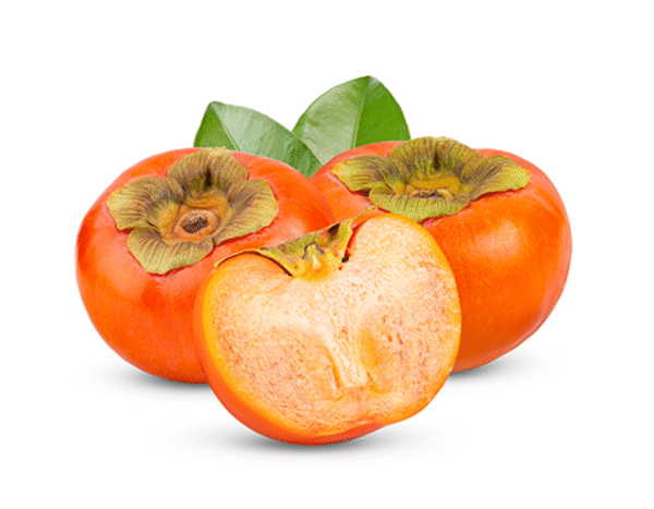 persimmon azerfruit fruits