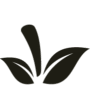 Azerfruit