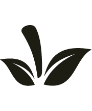 Page Loader Image