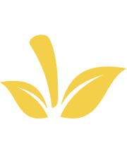 Yellow icon for about page