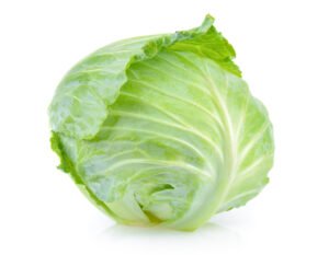 Cabbage
